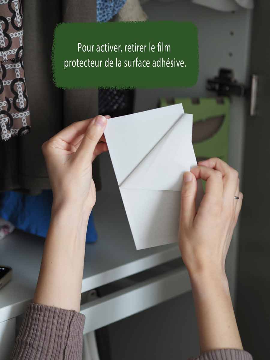 Piège à mites vestimentaires | Piège à colle | Piège à phéromones Piège à mites vestimentaires | Piège à colle | Piège à phéromones