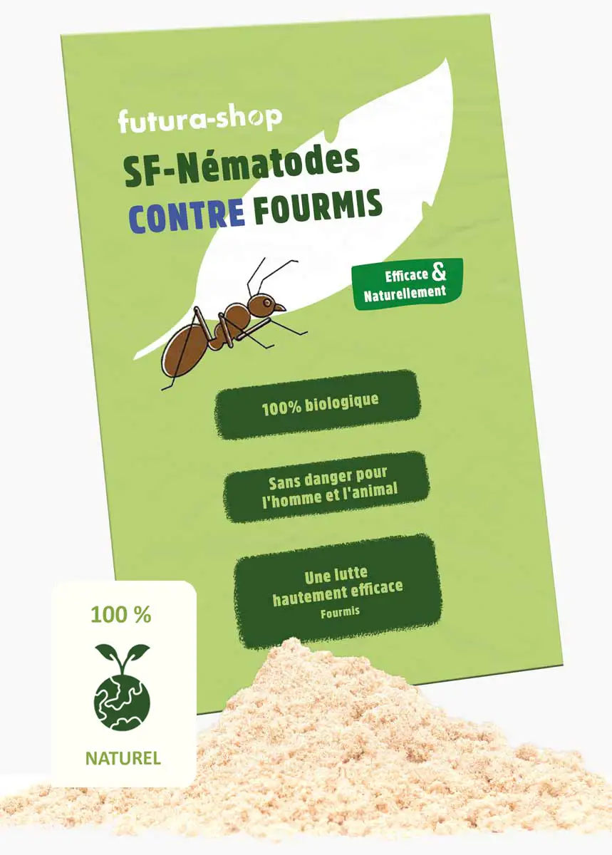 SF Nématodes Fourmis SF Nématodes Fourmis