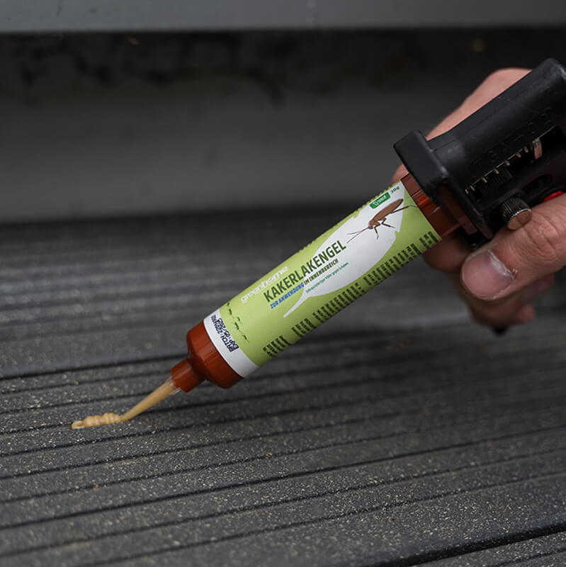 greenhome_kakerlakengel_anwendung_06