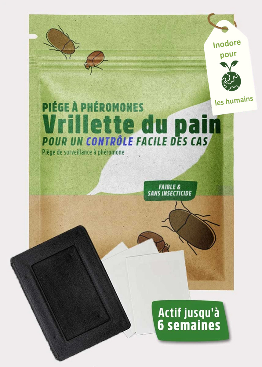 Piège à phéromone vrillette du pain