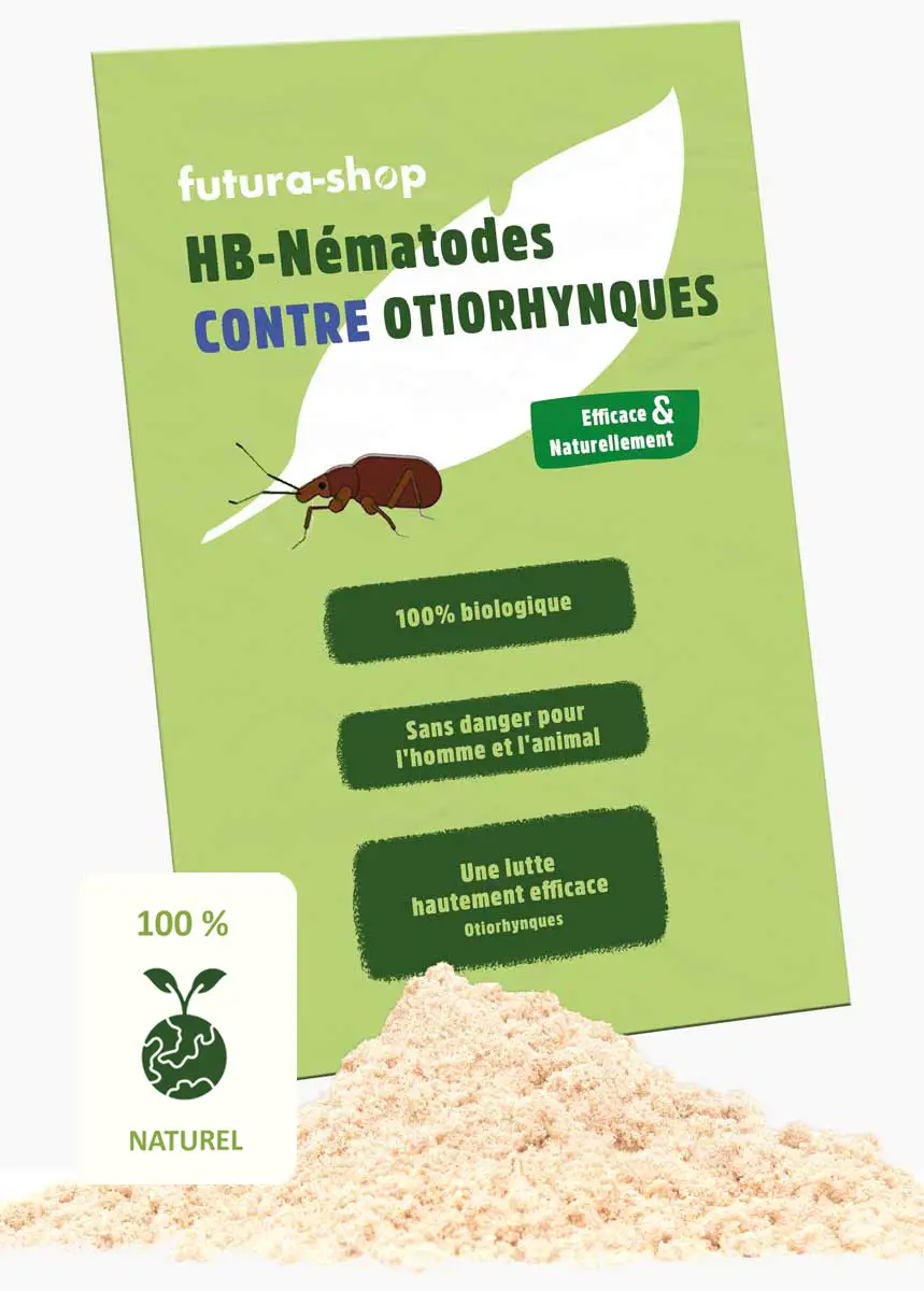 HB Nématodes Otiorhynque - 10 Mio. HB Nématodes Otiorhynque - 10 Mio.