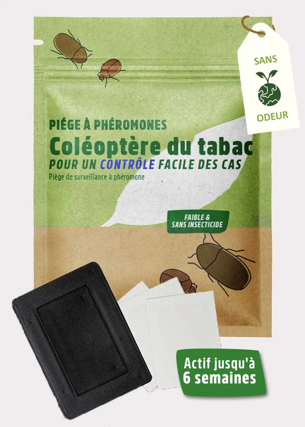 Piège à phéromones coléoptère du tabac Piège à phéromones coléoptère du tabac