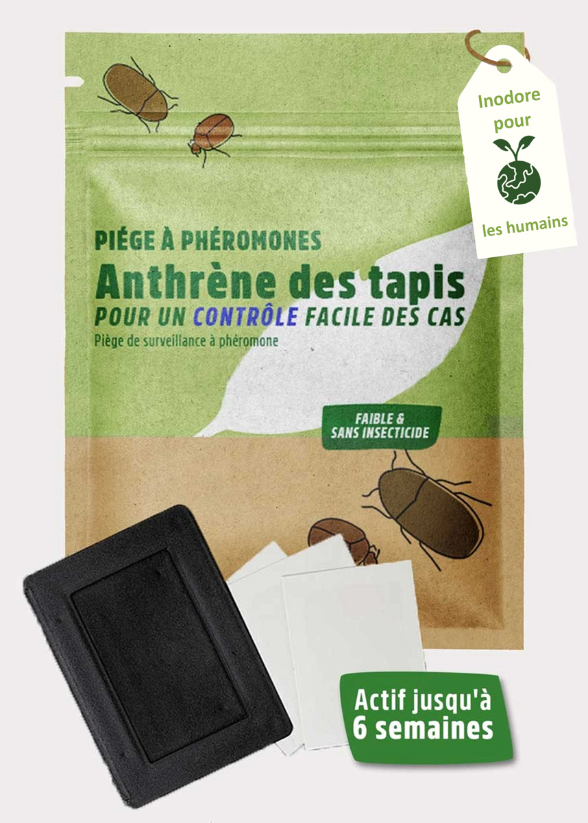 Piège à phéromones anthrène des tapis Piège à phéromones anthrène des tapis