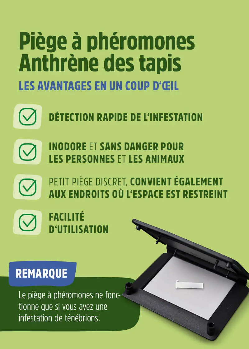 Piège à phéromones anthrène des tapis Piège à phéromones anthrène des tapis