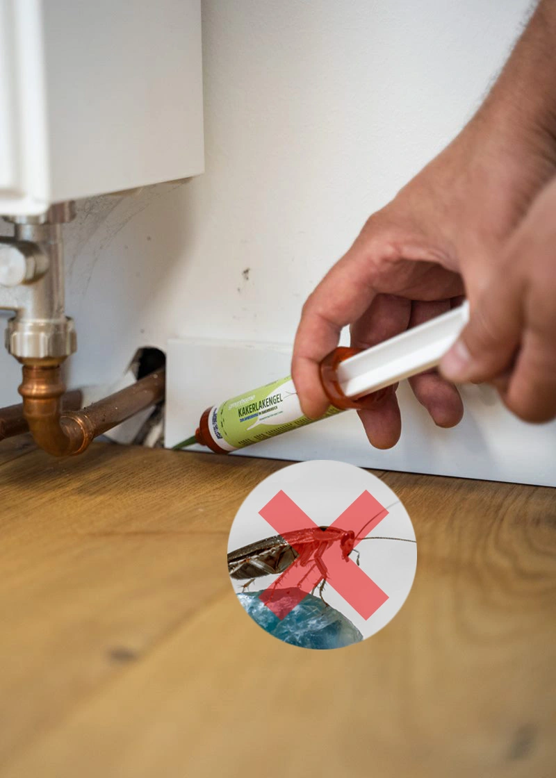 DSC00304_Durchgestrichen_EditEUOobrCFHVhv4