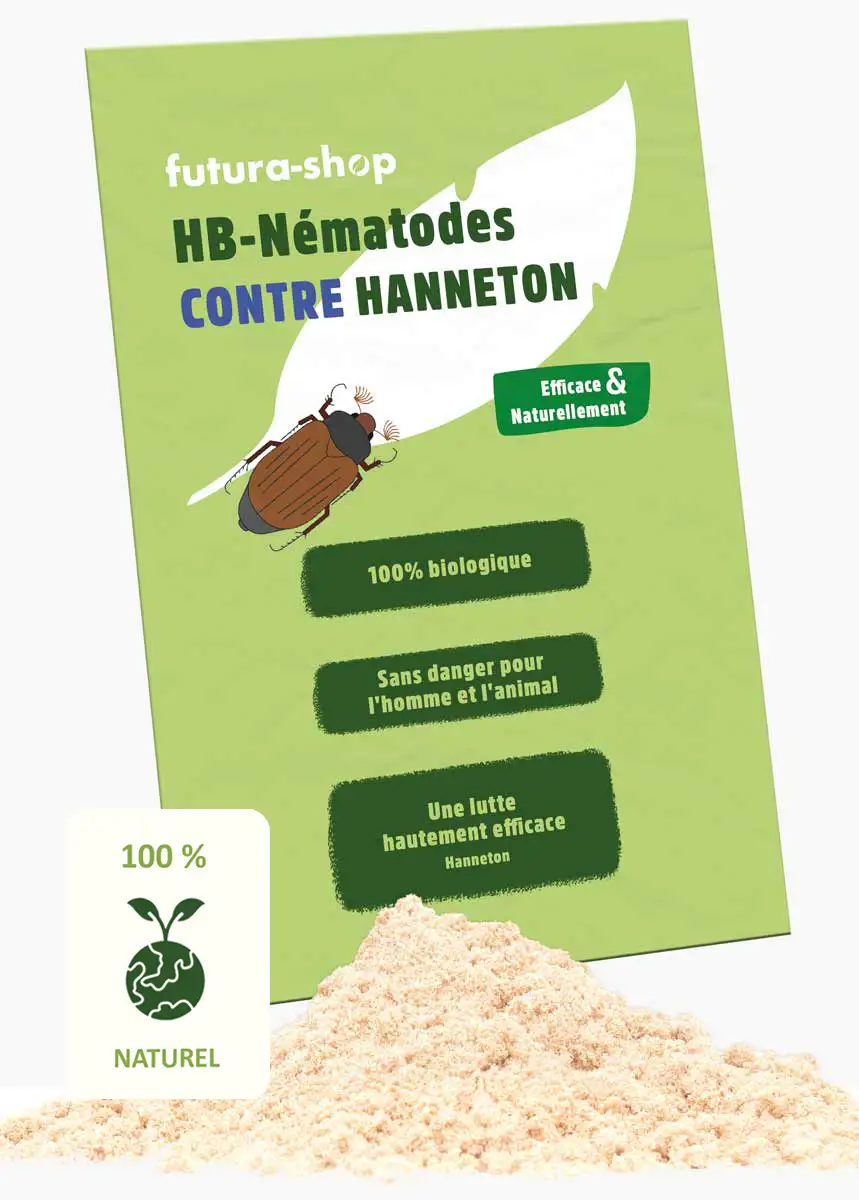 HB Nématodes contre Hanneton - 10 Mio. HB Nématodes contre Hanneton - 10 Mio.