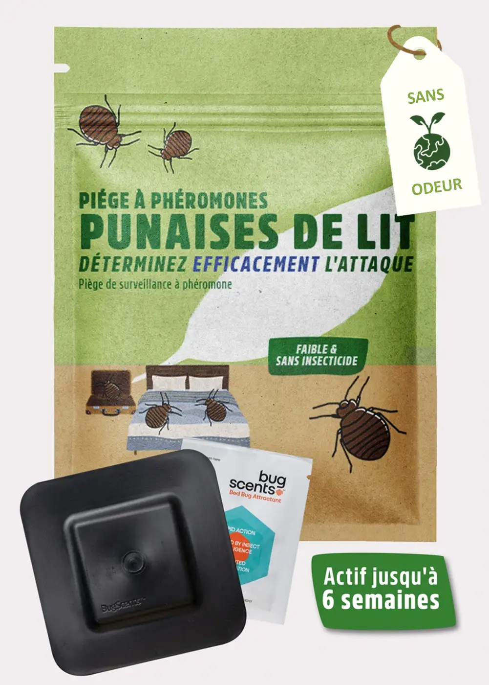 Piège à punaises de lit | Punaise de lit traitement Piège à punaises de lit | Punaise de lit traitement